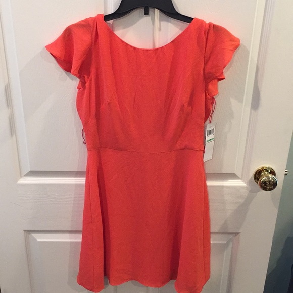 London Times Petite Dress. Brand new! - Picture 1 of 4